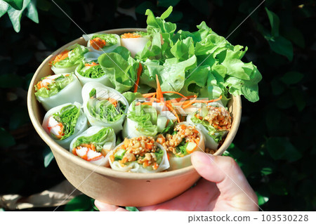 vegetable rolls or noodle rolls or rice noodle rolls or Vietnamese rolls vegetable rolls or noodle rolls or rice noodle rolls or Vietnamese rolls 103530228