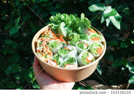 vegetable rolls or noodle rolls or rice noodle rolls or Vietnamese rolls vegetable rolls or noodle rolls or rice noodle rolls or Vietnamese rolls 103530230