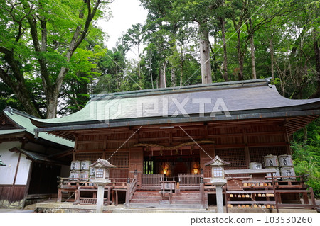 Niu Kawakami Shrine Shimosha 103530260