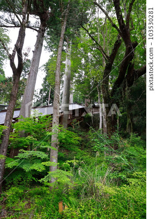 入川上神社 下社大殿 入川上神社 下社大殿 103530281