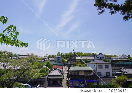 Osaka, Taishi-cho, Saiho-in seen from Eifuku-ji Nandaimon (early summer) Osaka, Taishi-cho, Saiho-in seen from Eifuku-ji Nandaimon (early summer) 103530314