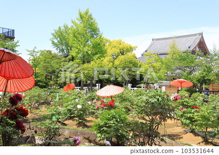 西新井大師牡丹園（足立區西新井市） 103531644