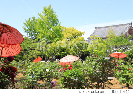 西新井大師牡丹園（足立區西新井市） 103531645