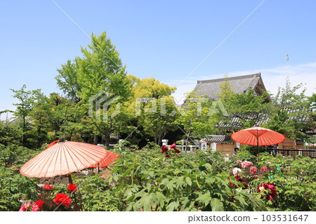 西新井大師牡丹園(足立區西新井市) 西新井大師牡丹園(足立區西新井市) 103531647