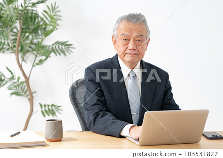 Senior man doing desk work 103531827