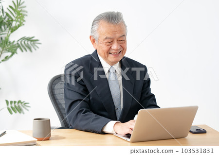 Senior man doing desk work 103531831