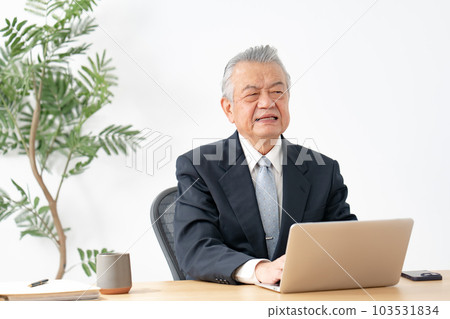 Senior man doing desk work 103531834