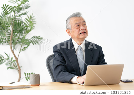 Senior man doing desk work 103531835