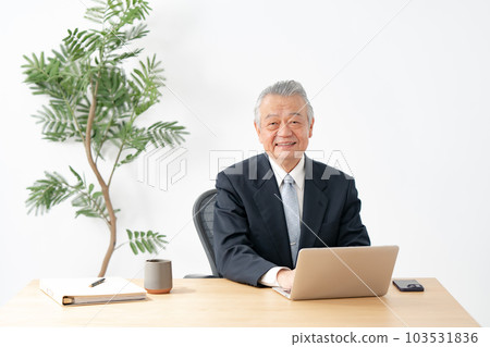 Senior man doing desk work 103531836