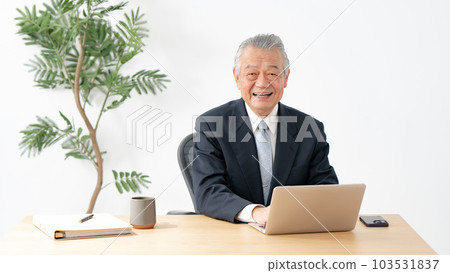 Senior man doing desk work 103531837