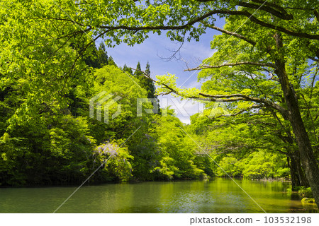 Lake Mikawa in the fresh green of May Lake Mikawa in the fresh green of May 103532198