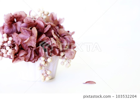 Art arrangement flower interior 103532204