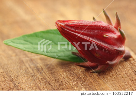 Roselle with green leaf Roselle with green leaf 103532217