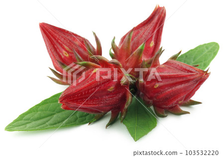 Roselles with leaves 103532220