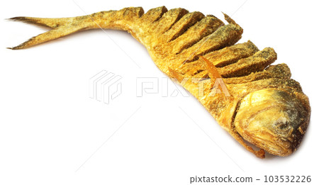 Uncooked preserved Ilish fish 103532226