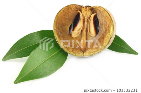 Sapodilla fruit 103532231