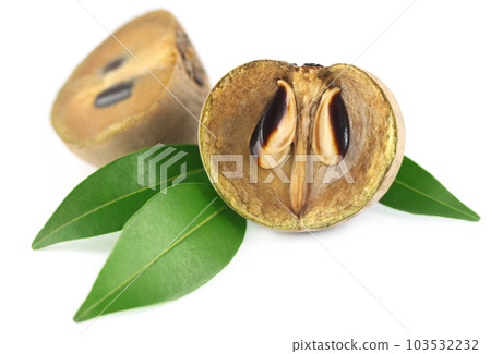 Sapodilla fruits 103532232