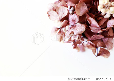 Art arrangement flower interior Art arrangement flower interior 103532323