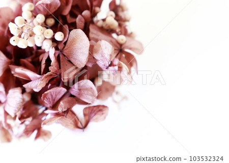 Art arrangement flower interior Art arrangement flower interior 103532324