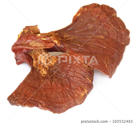 Ganoderma mushroom Ganoderma mushroom 103532483