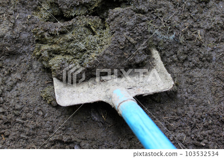 Cow manure 103532534