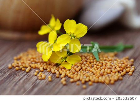 Mustard flowers with mushroom 103532607