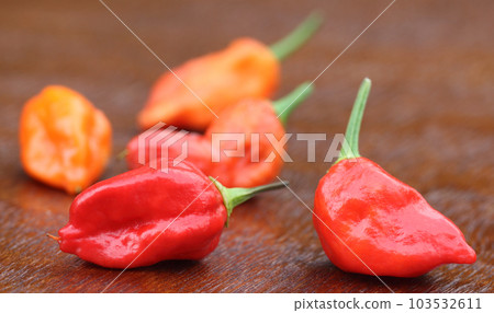 Bhut Jolokia chili peppers 103532611