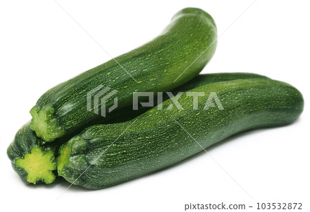 Fresh squash 103532872