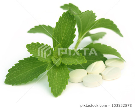 Stevia with tablets 103532878