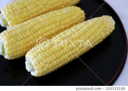 Freshly picked corn Freshly picked corn 103533189