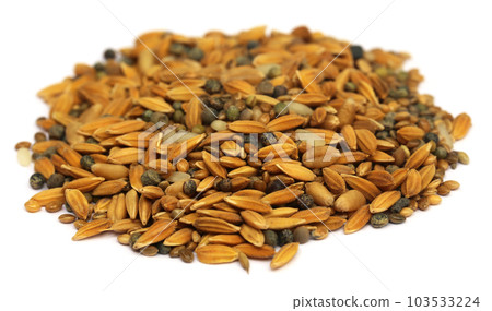 Bird feeding grains 103533224