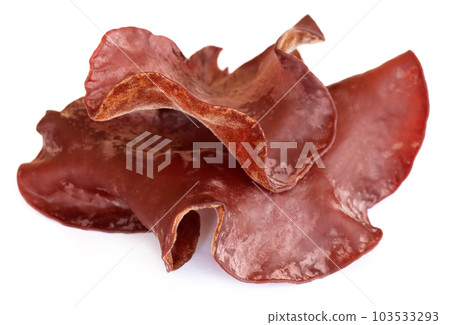 Ear mushroom 103533293