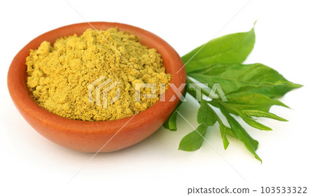 Henna leaves with sandalwood powder 103533322