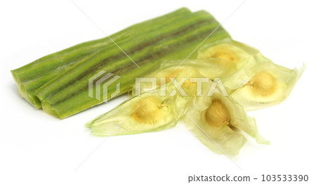 Seeds of moringa oleifera Seeds of moringa oleifera 103533390