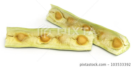 Seeds of moringa oleifera Seeds of moringa oleifera 103533392