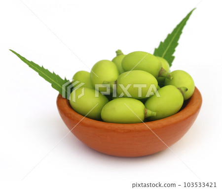 Medicinal neem fruits 103533421