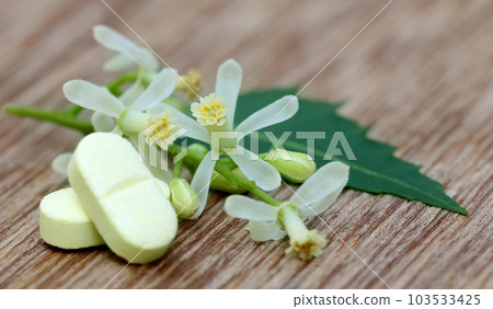 Pills made from medicinal neem Pills made from medicinal neem 103533425