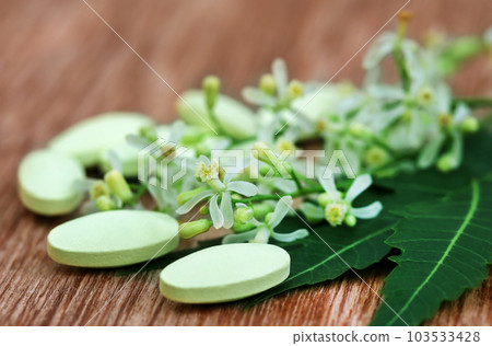 Pills made from medicinal neem 103533428