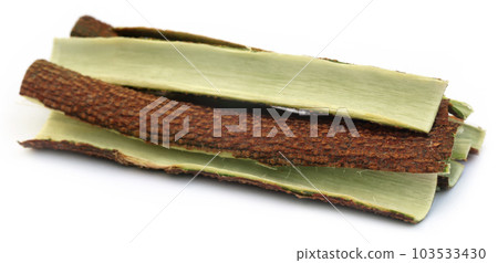 Tree bark of Medicinal Neem Tree bark of Medicinal Neem 103533430