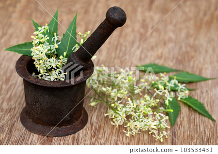 Neem leaves and flower on an old mortar Neem leaves and flower on an old mortar 103533431