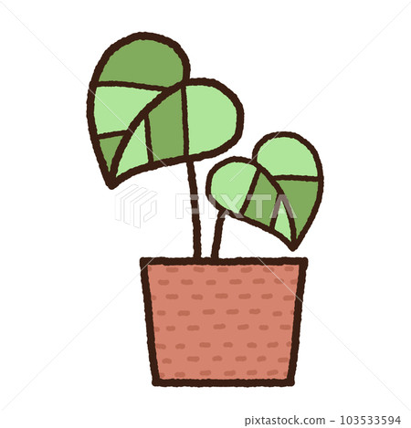 Indoor plants in the pots 103533594