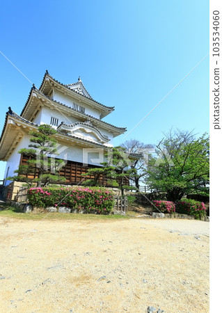 【香川縣】春天櫻花、杜鵑花盛開的丸龜城(現存天守閣和石牆) 【香川縣】春天櫻花、杜鵑花盛開的丸龜城(現存天守閣和石牆) 103534060