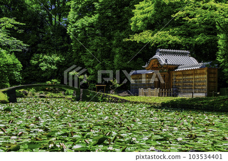 Koishikawa Korakuen, Tokyo Karamon Pond (Inner Garden) and Water Lilies National Special Historic Site 103534401