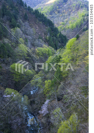 Mountain laughing fresh green valley green patchwork 103534485