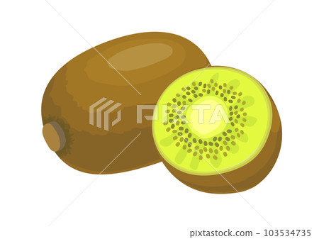 Kiwi fruit illustration Kiwi fruit illustration 103534735