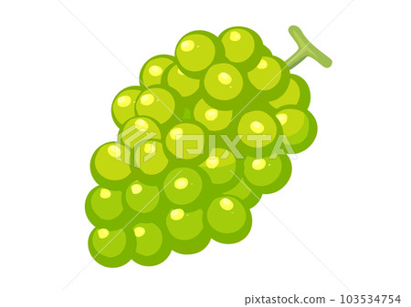 Illustration of Muscat Illustration of Muscat 103534754