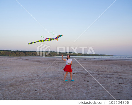 Colored kite against blue sky at sunset Colored kite against blue sky at sunset 103534896