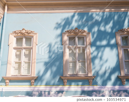 Decorative windows of old building 103534971