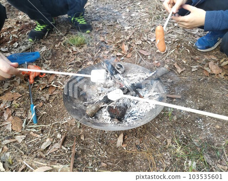 Camp Marshmallow Party ~ Camp Party Camp Marshmallow Party ~ Camp Party 103535601