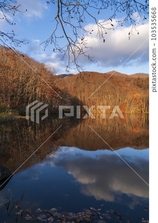 A swamp reflecting autumn leaves A swamp reflecting autumn leaves 103535668